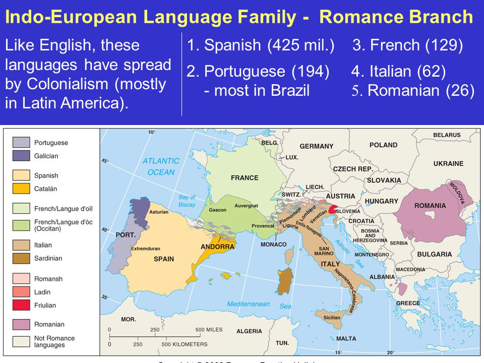 Indo european languages essay help